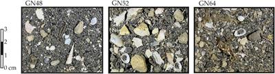 Natural vs. anthropogenic metals for reconstructing the source-to-sink pathway (Naples Bay, eastern Tyrrhenian Sea)